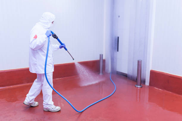 Best Paint Preparation  in San Jose, CA